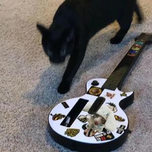 美女被❌到爽🔞高潮
